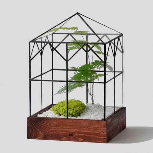 Glass Terrarium with plants inside.