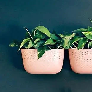 Eco Wall Planter - White
