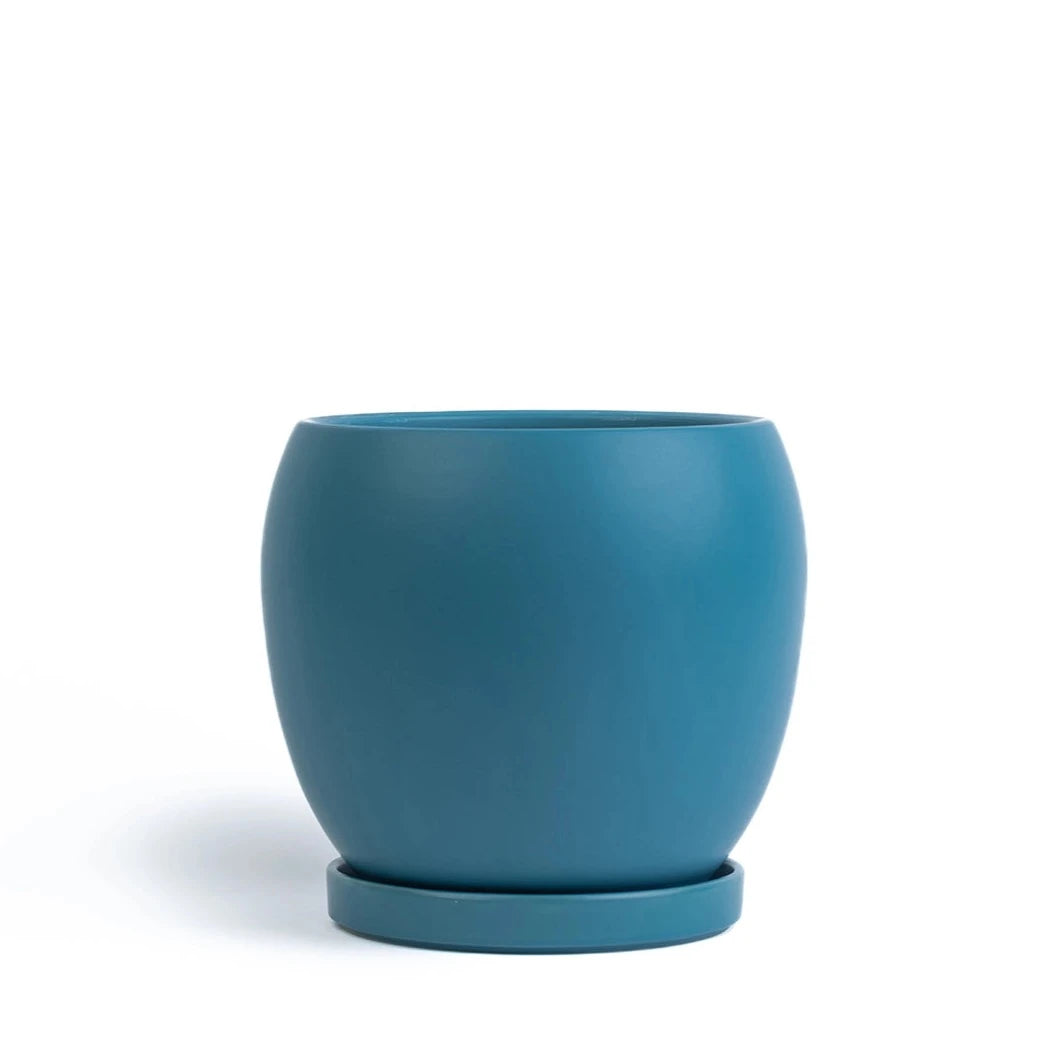 teal indoor plant pots 11in Bolle Pot With Saucer