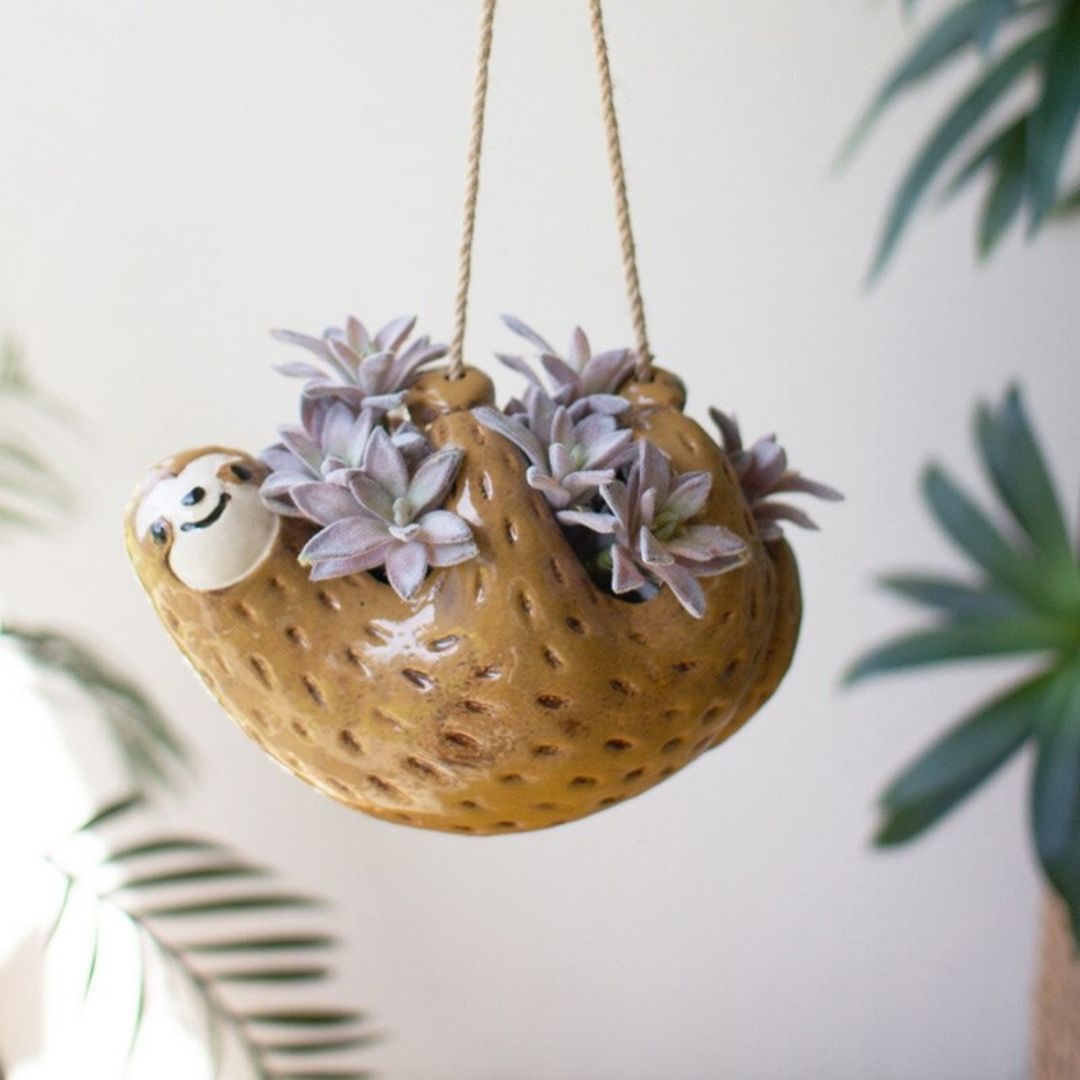 hanging sloth succulent Ceramic Hanging Sloth Planter – Paraíso Plant Studio