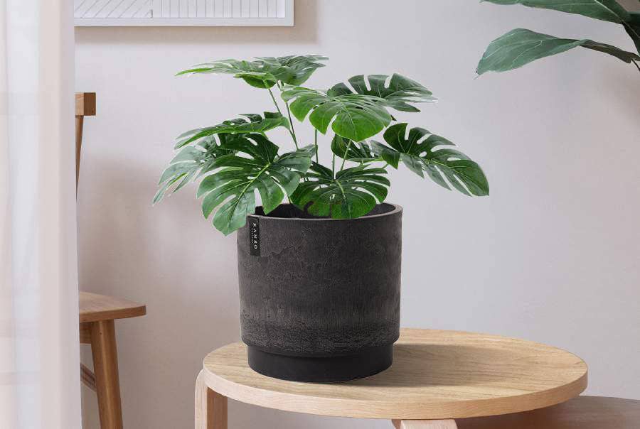 10in Self-Watering Planter - Black Stone Colored Recycled Plastic, on wooden side table with monstera plant inside.