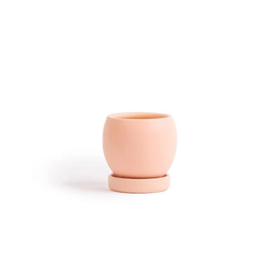 3in Bolle Pot With Saucer - Multiple Color Options