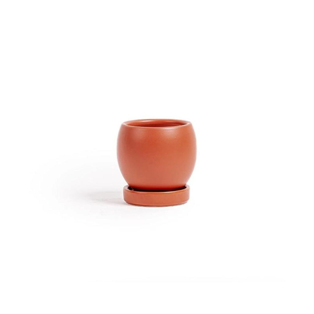 3in Bolle Pot With Saucer - Multiple Color Options