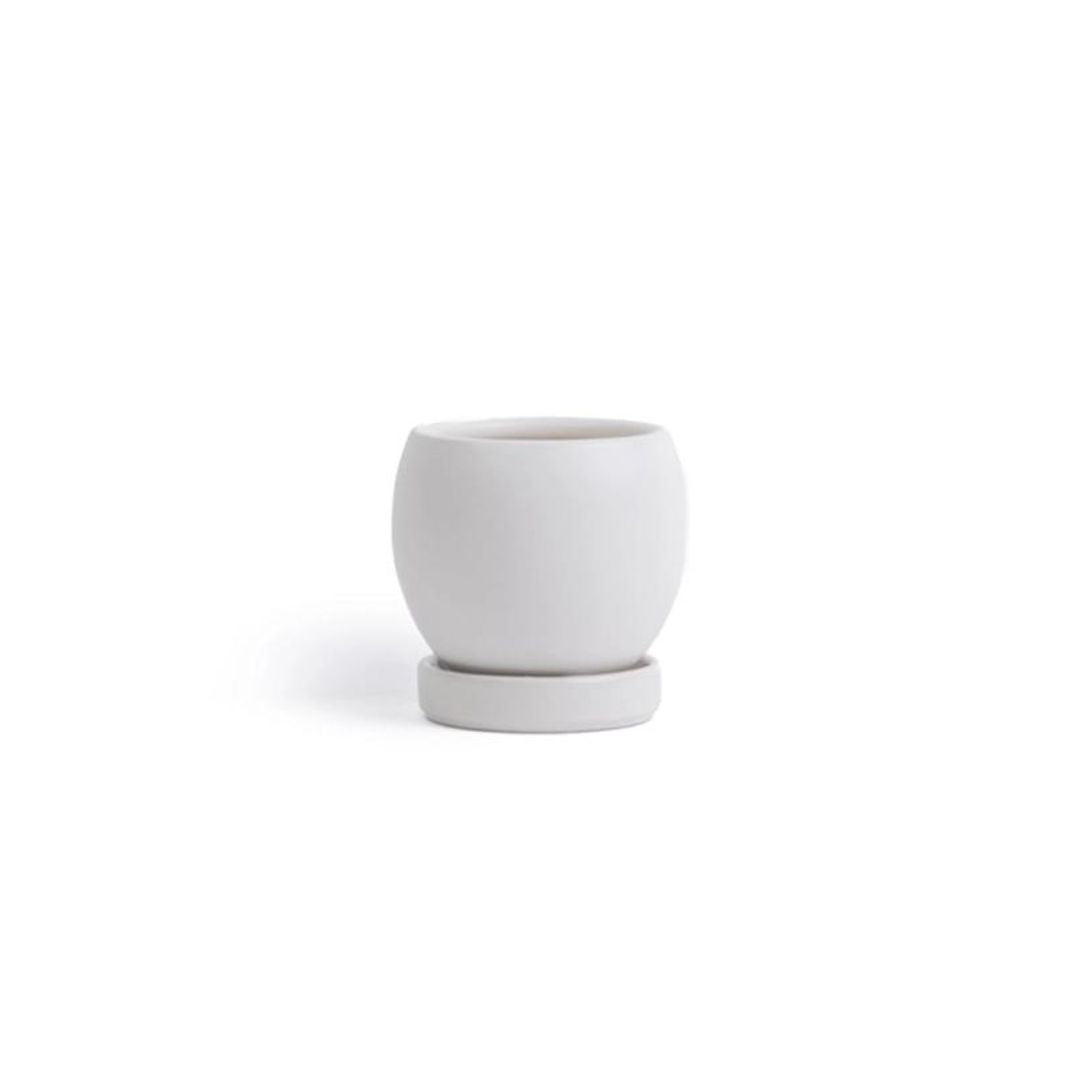 large indoor plant pots with saucers 3in Bolle Pot With Saucer