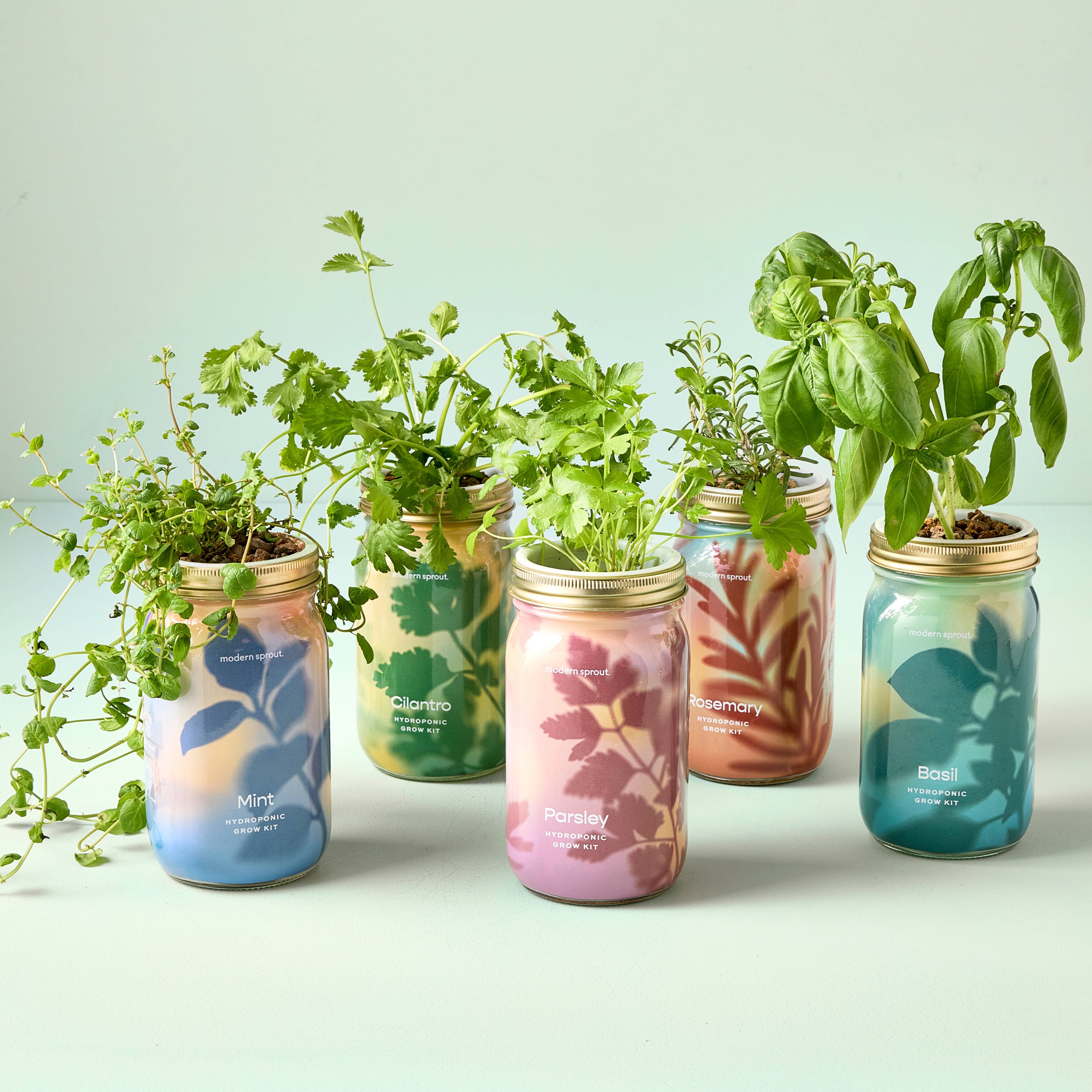 Herb Garden Jar - Thumbnail 5