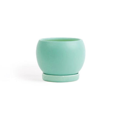 5in Bolle Pot With Saucer - Multiple Color Options