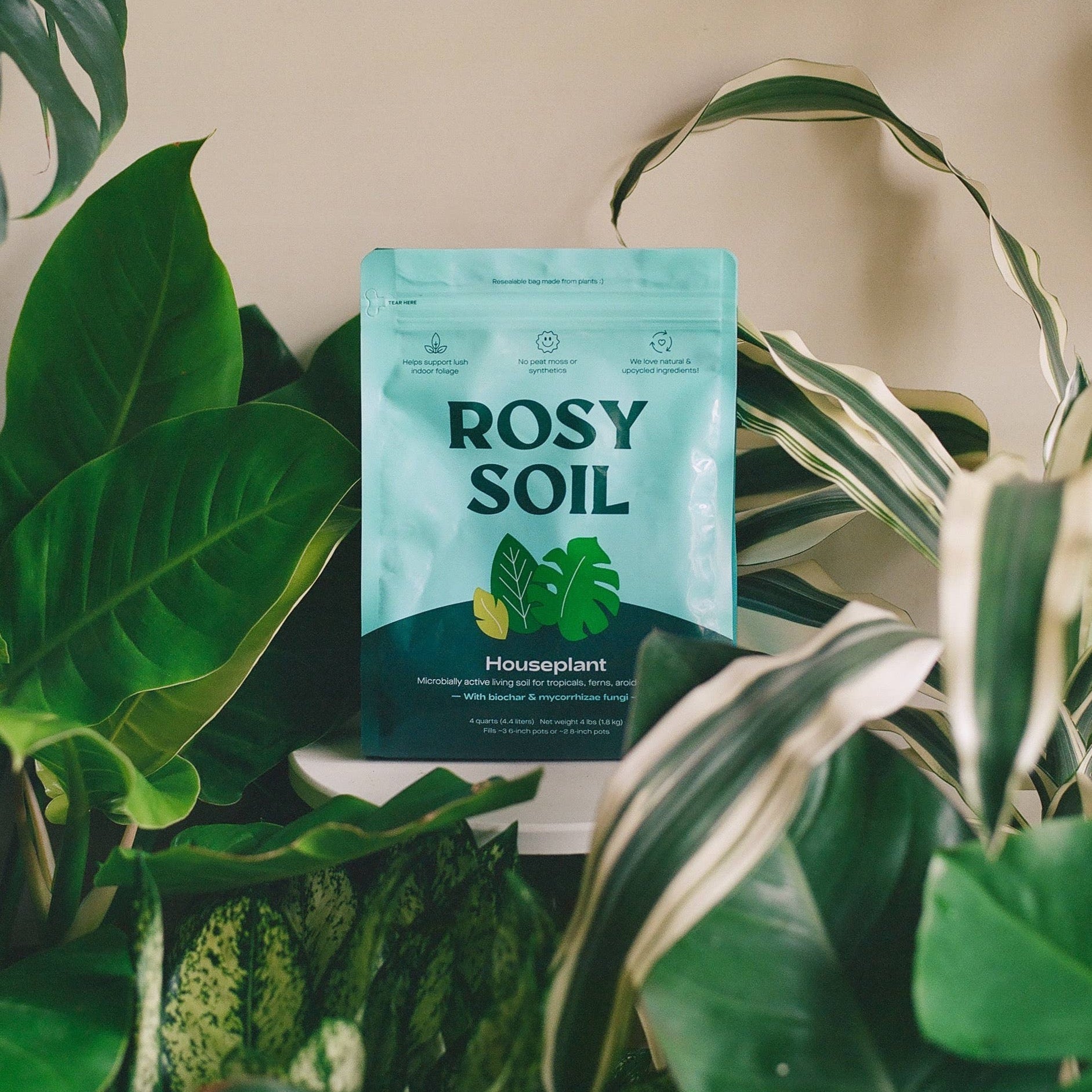 herbs potting mix 4qt Organic potting soil mix, indoor, houseplant & herbs – Paraíso Plant Studio