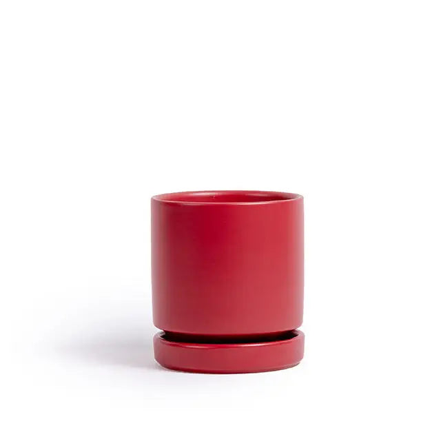 8in Gemstone Cylinder Pot With Saucer - Multiple Color Options