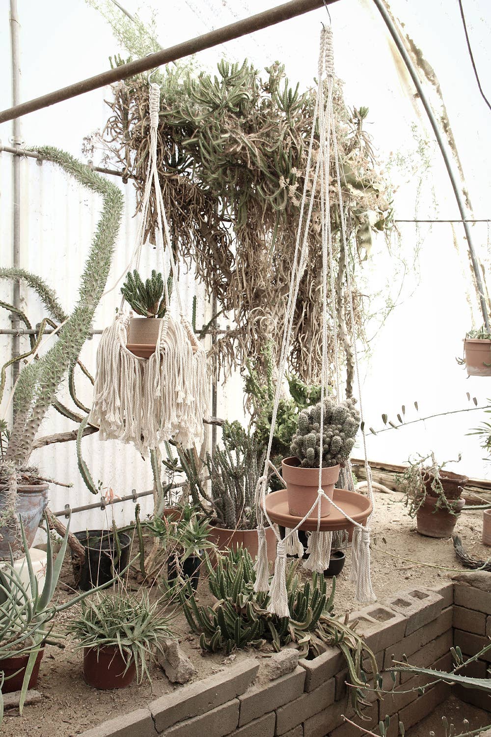 long plant hanger Fringed Plant Hanger