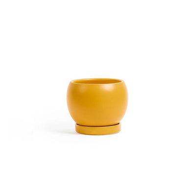 7in Bolle Pot With Saucer - Multiple Color Options