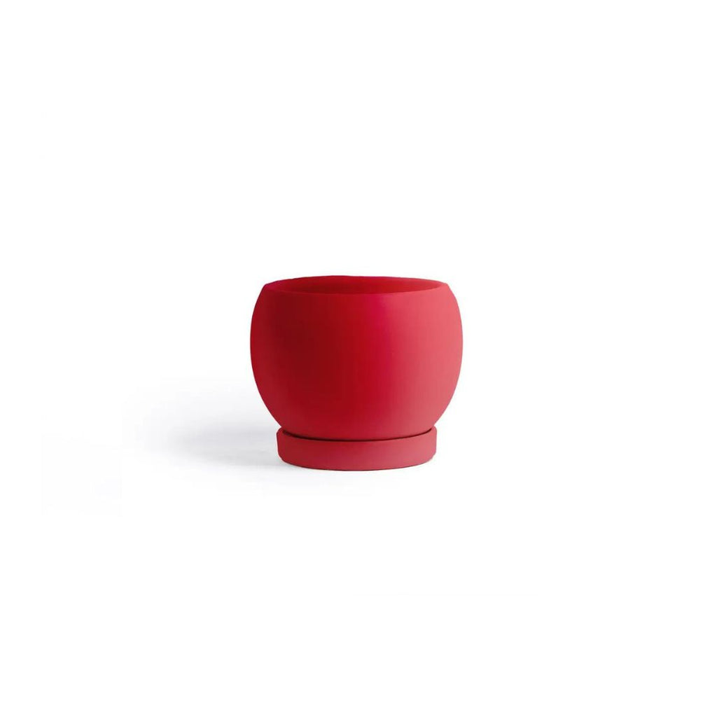 7in Bolle Pot With Saucer - Multiple Color Options