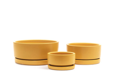 4.5in Gemstone Low Cylinder - Momma Pots