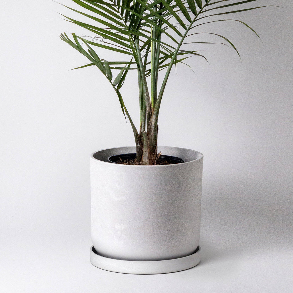 modern big plant pots 12” Signature Stone Planter