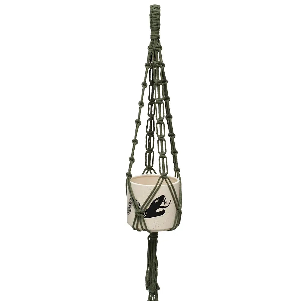plant hanger target Plant Hanger – Paraíso Plant Studio