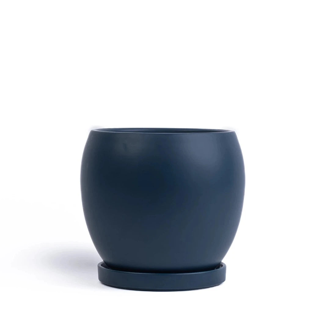 navy plant pot 6" Bollé Pot with Water Saucer Top Half Dusty Rose