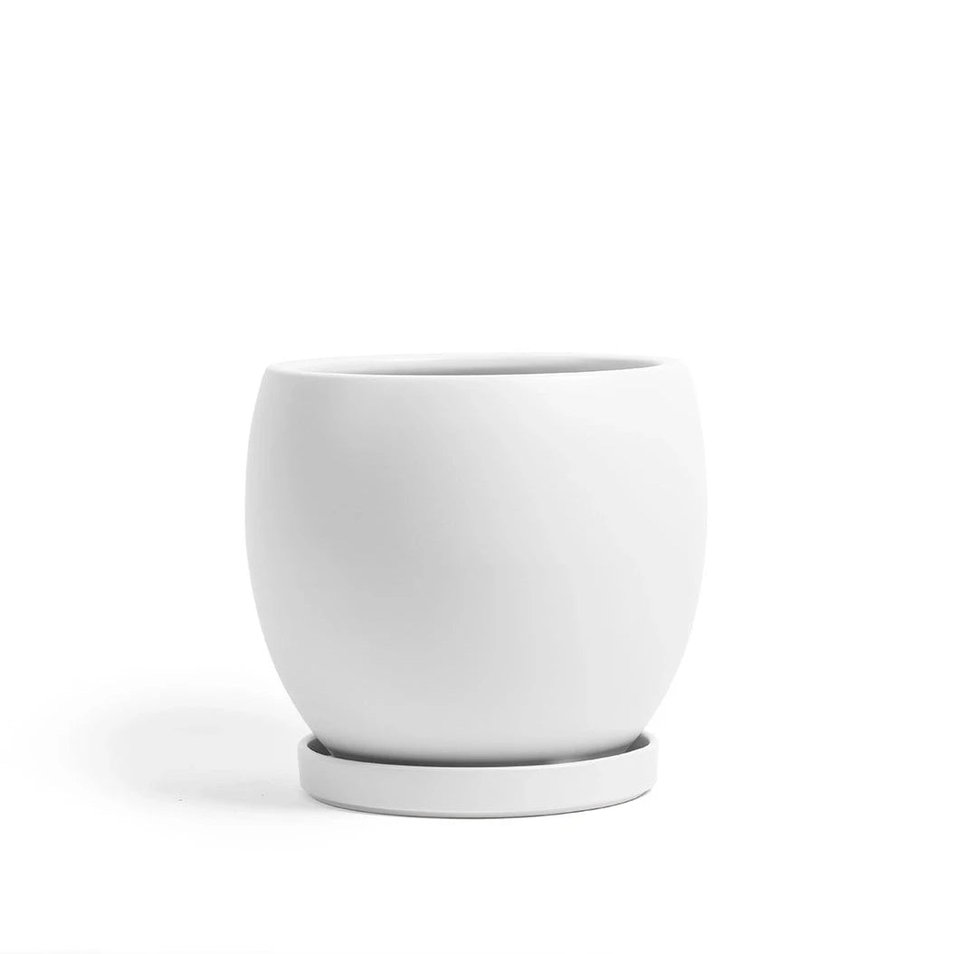 indoor plant pot with saucer 6" Bollé Pot with Water Saucer Top Half Dusty Rose