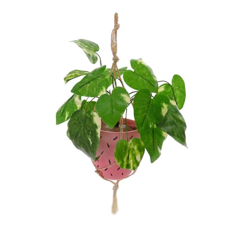 plant pot hanging ornament Hanging Pothos Ornament – Paraíso Plant Studio