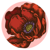 Order Flowers