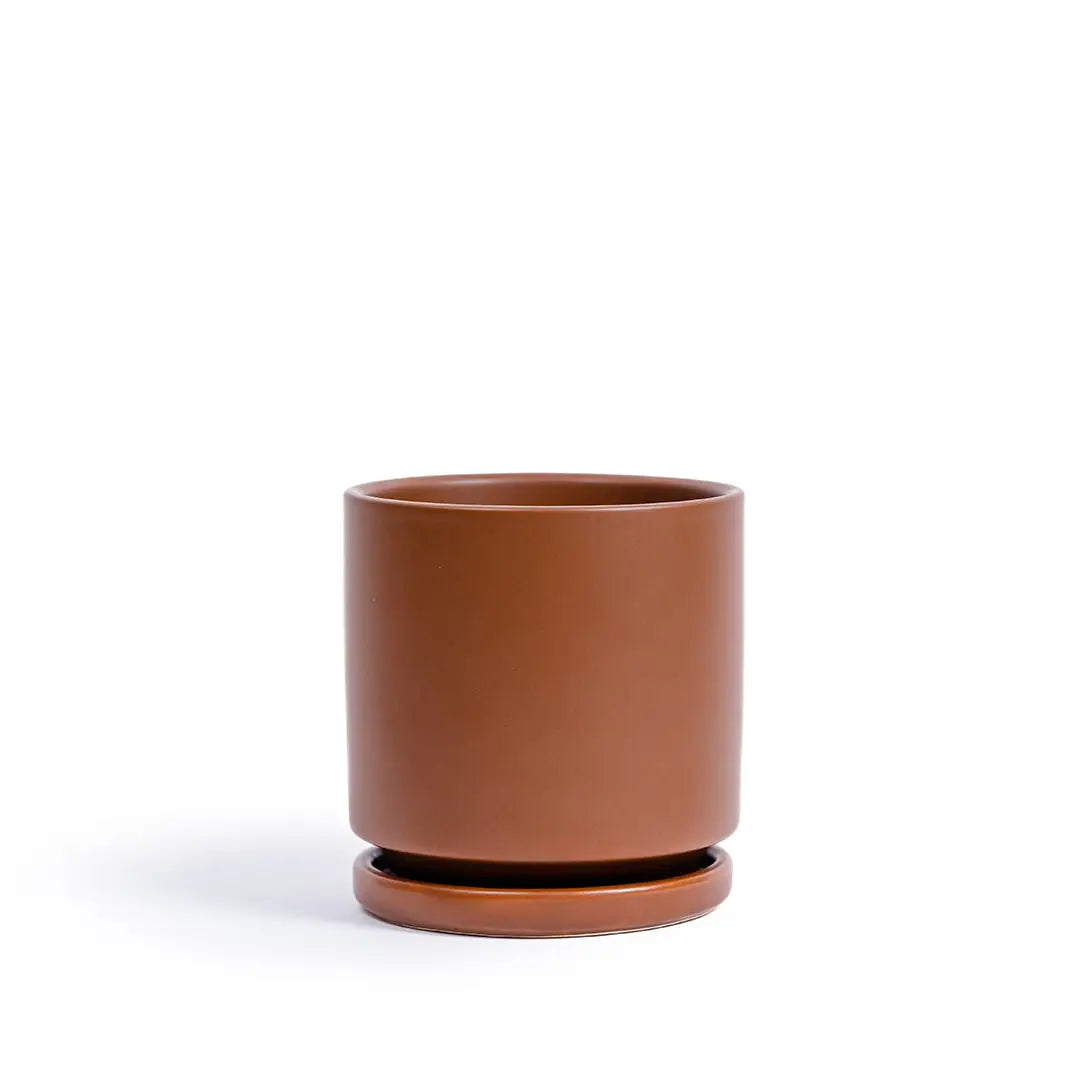 Galets D'Argile Rose 7-8mm 100g - Billes Hydroponie Drainage Pots Bonsaï Décoration