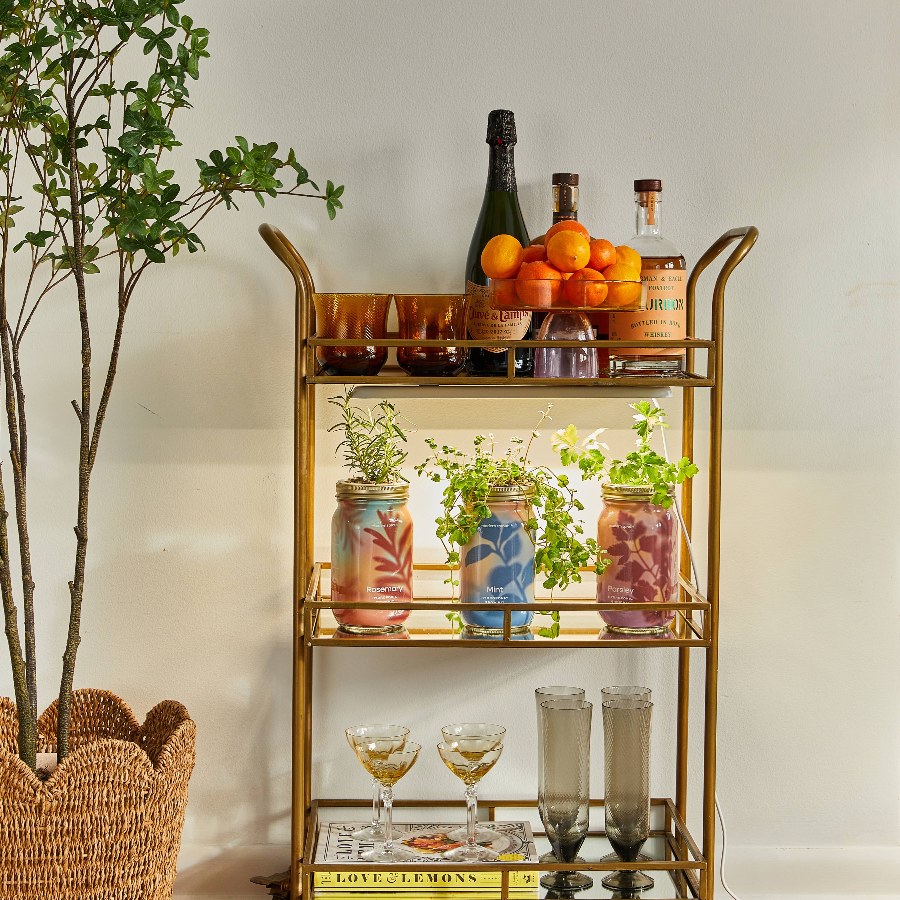 Herb Garden Jar - Thumbnail 4