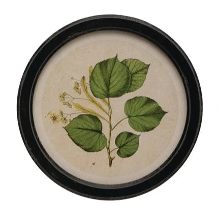  Round Framed Wall Decor with Botanical Print