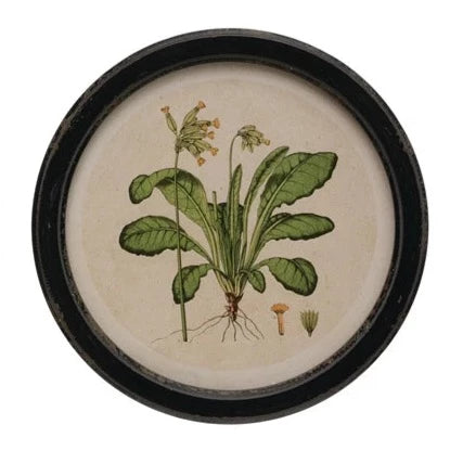  Round Framed Wall Decor with Botanical Print