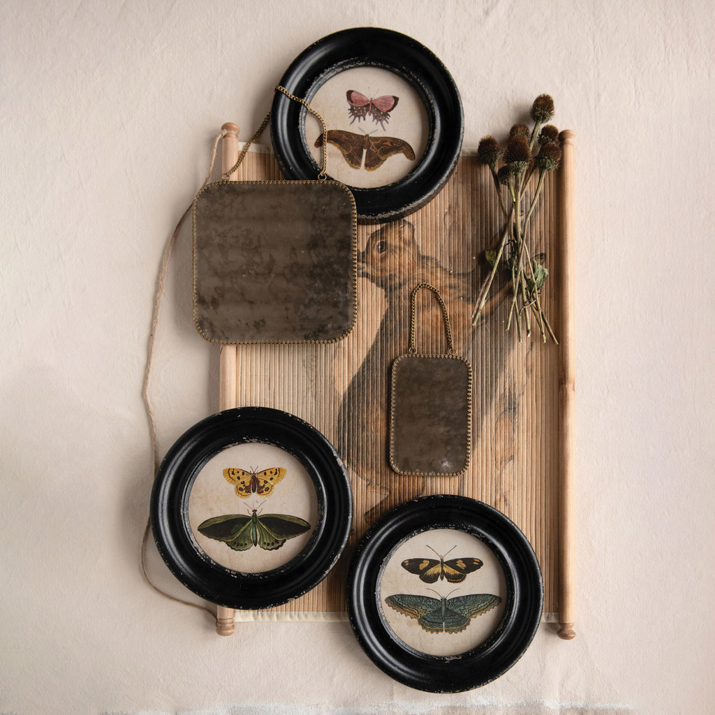 Framed Wall Decor with Moths & Butterflies sitting ontop of rabbit image in background with other decorative items arranged around