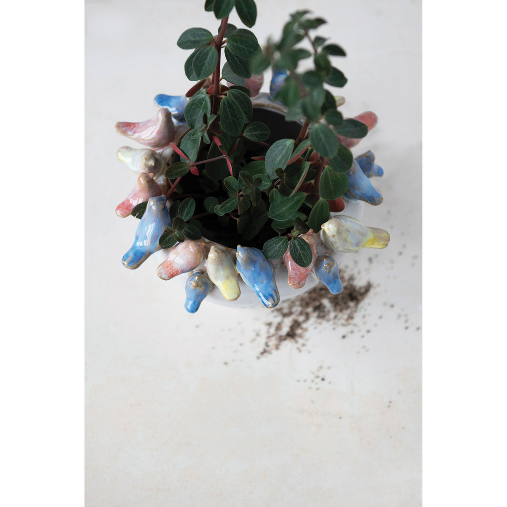 Top view of White Stoneware Planter with pink, blue, and yellow Birds on Rim and peperomia plant inside.