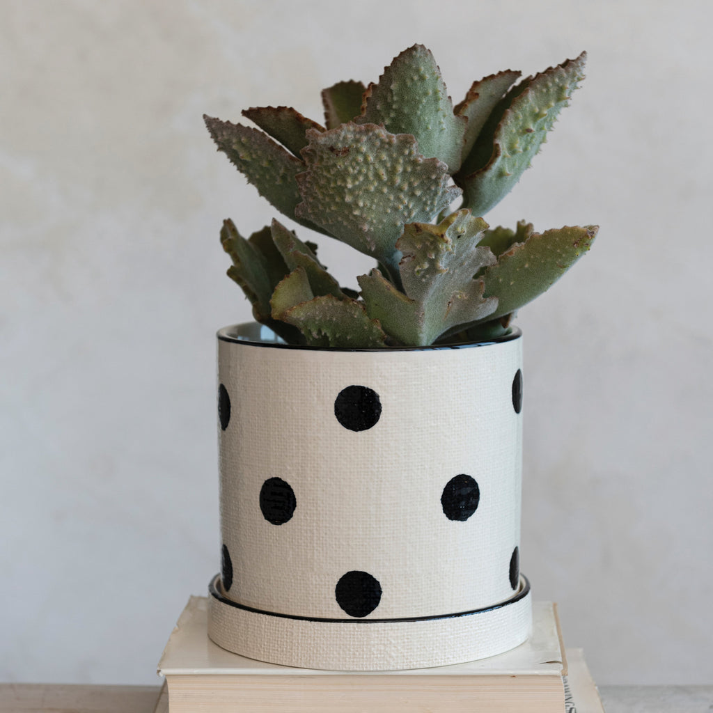 7in Hand-Painted Stoneware Planter w/ Dots