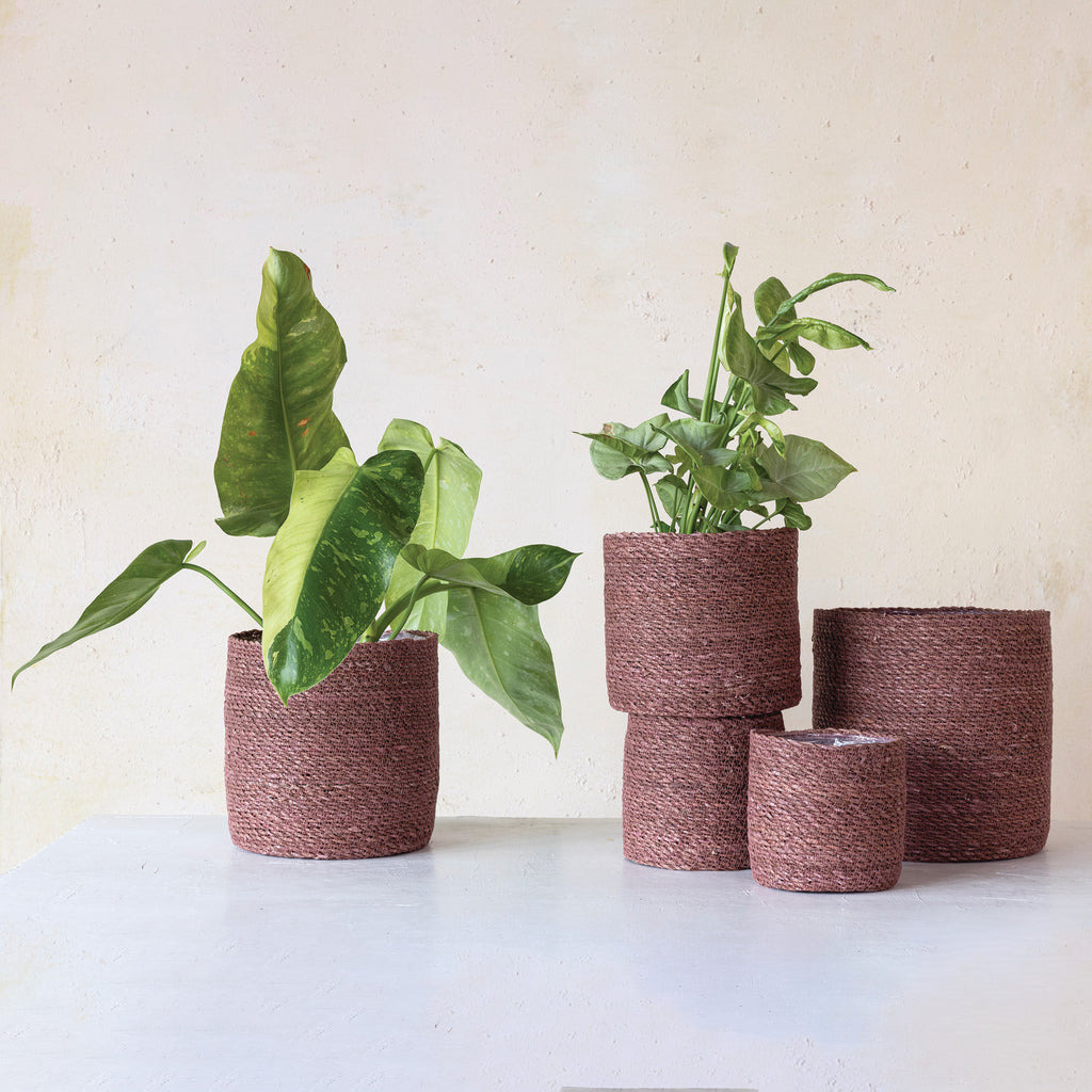 Rosey jute baskets in 6 different sizes with plants inside