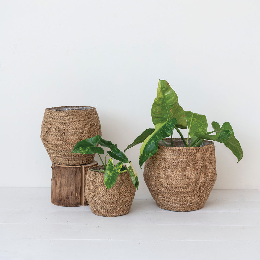 Tapered Woven Seagrass Baskets in three sizes arranged with plants on log stand.