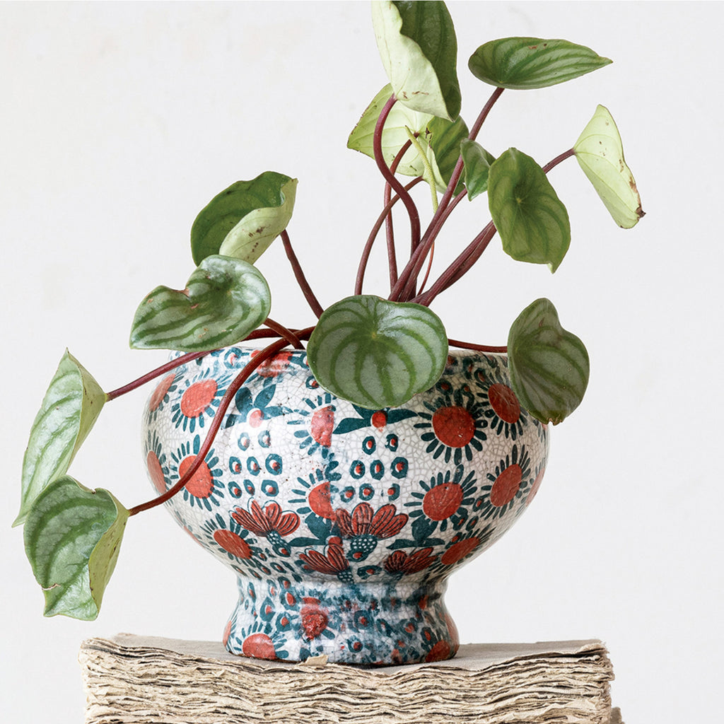 blue and red floral printed footed planter with watermelon peperomia placed on a book