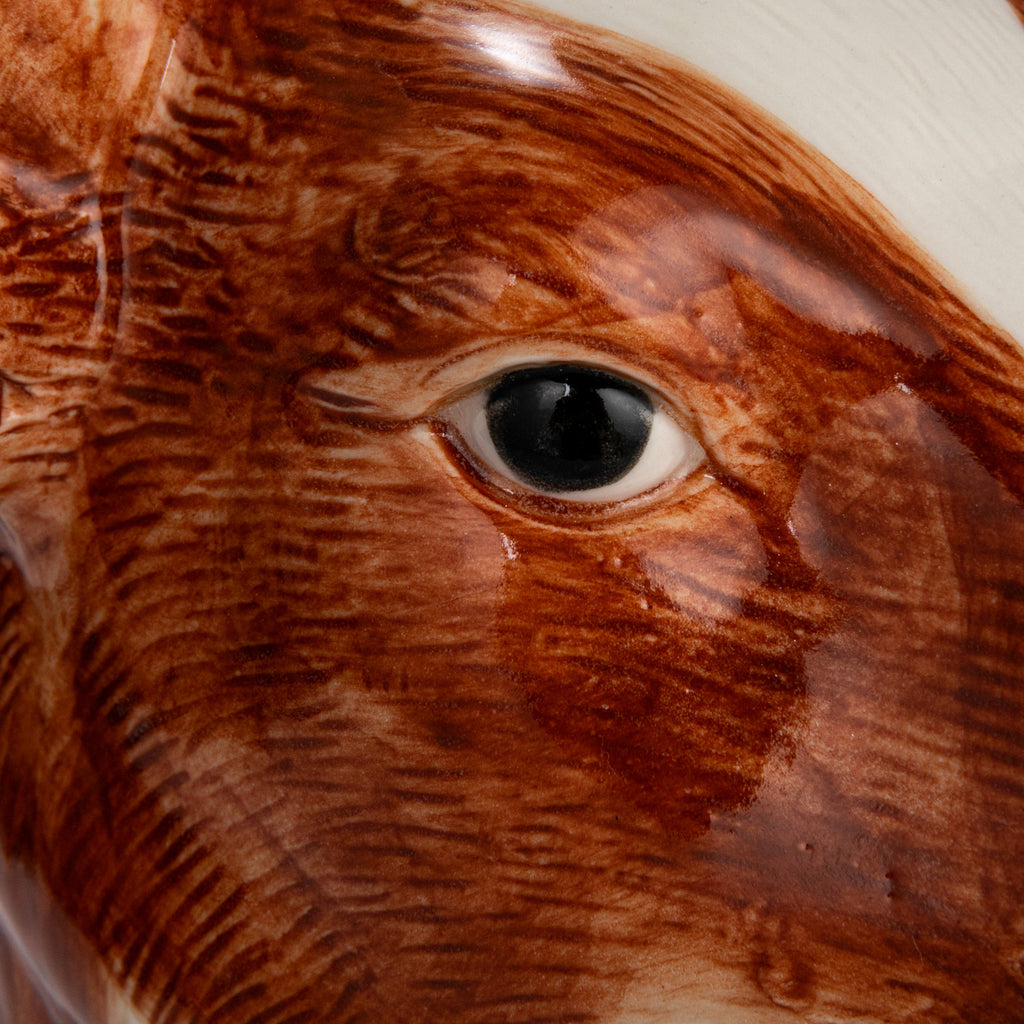 Eye Close-Up Hand-Painted Stoneware Cow Vase