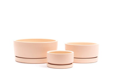 6in Gemstone Low Cylinder - Momma Pots