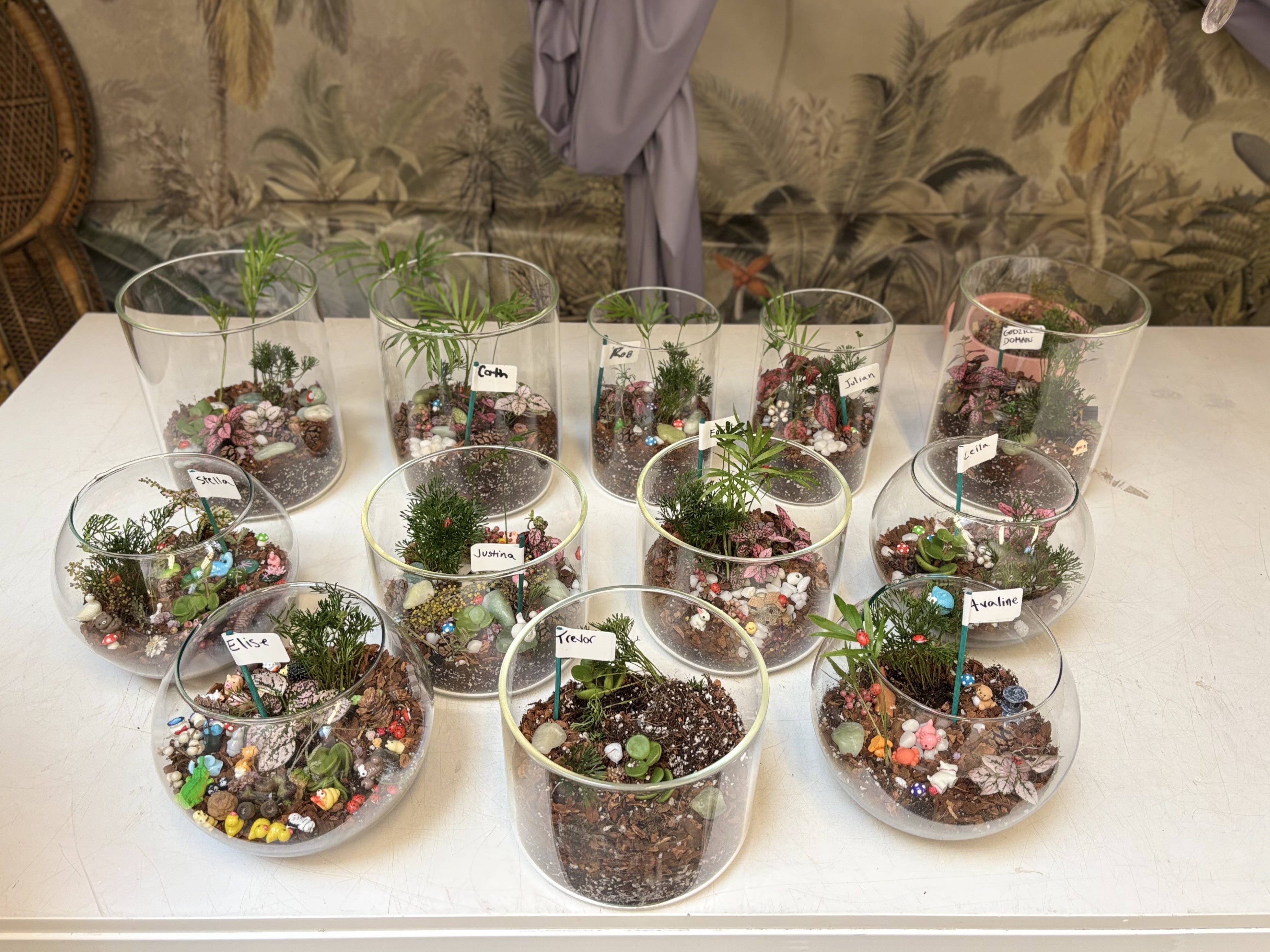 plant house terrarium workshop Workshop: Terrarium Building Beginner – Paraíso Plant Studio