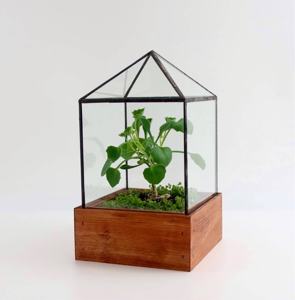 plant house terrarium Leadhead Glass