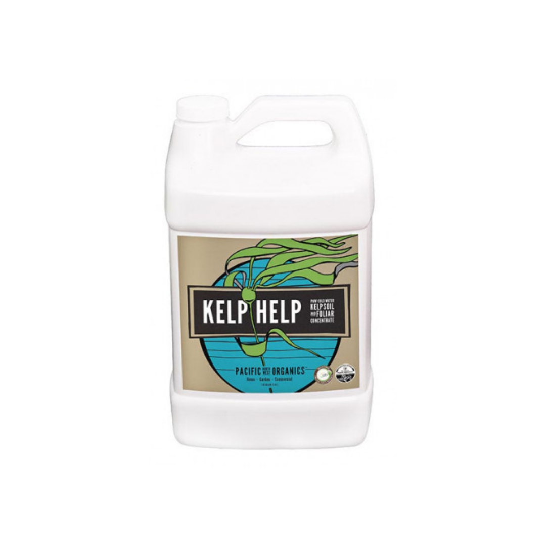 organic fish and kelp liquid fertilizer Down To Earth Liquid Fish & Kelp, 1 Quart – Paraíso Plant Studio