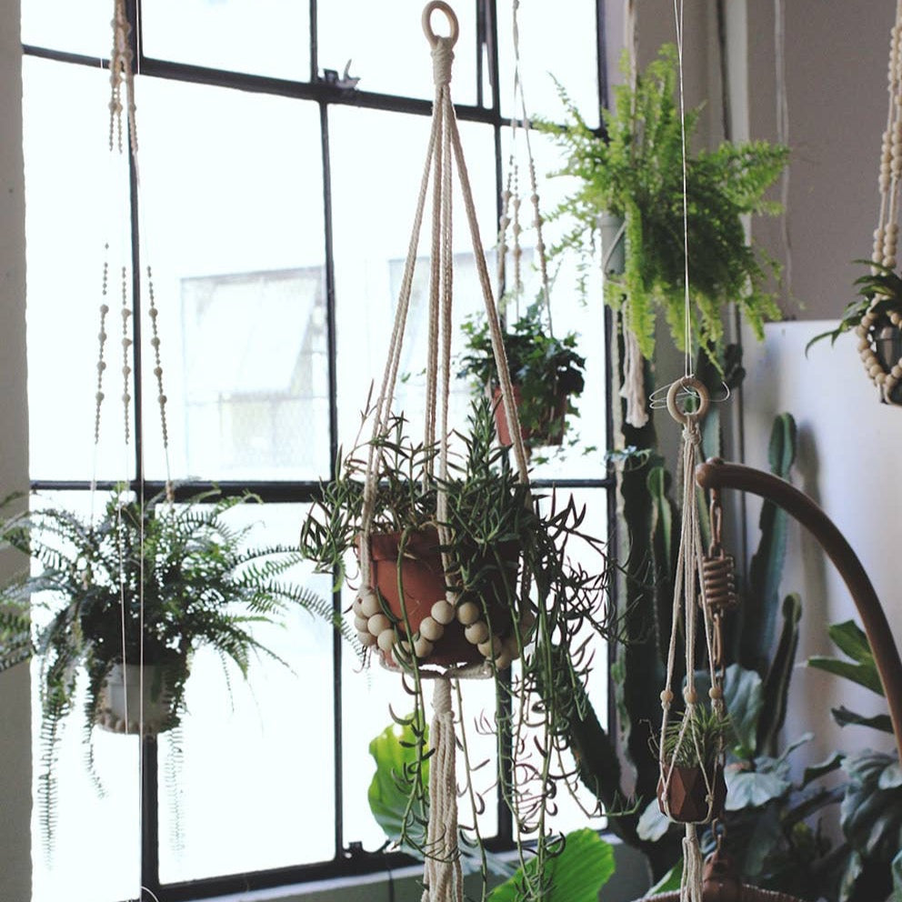 plant hanger near me 36" Beaded Plant Hanger