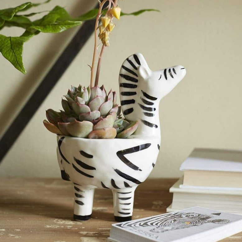 Zebra Pot