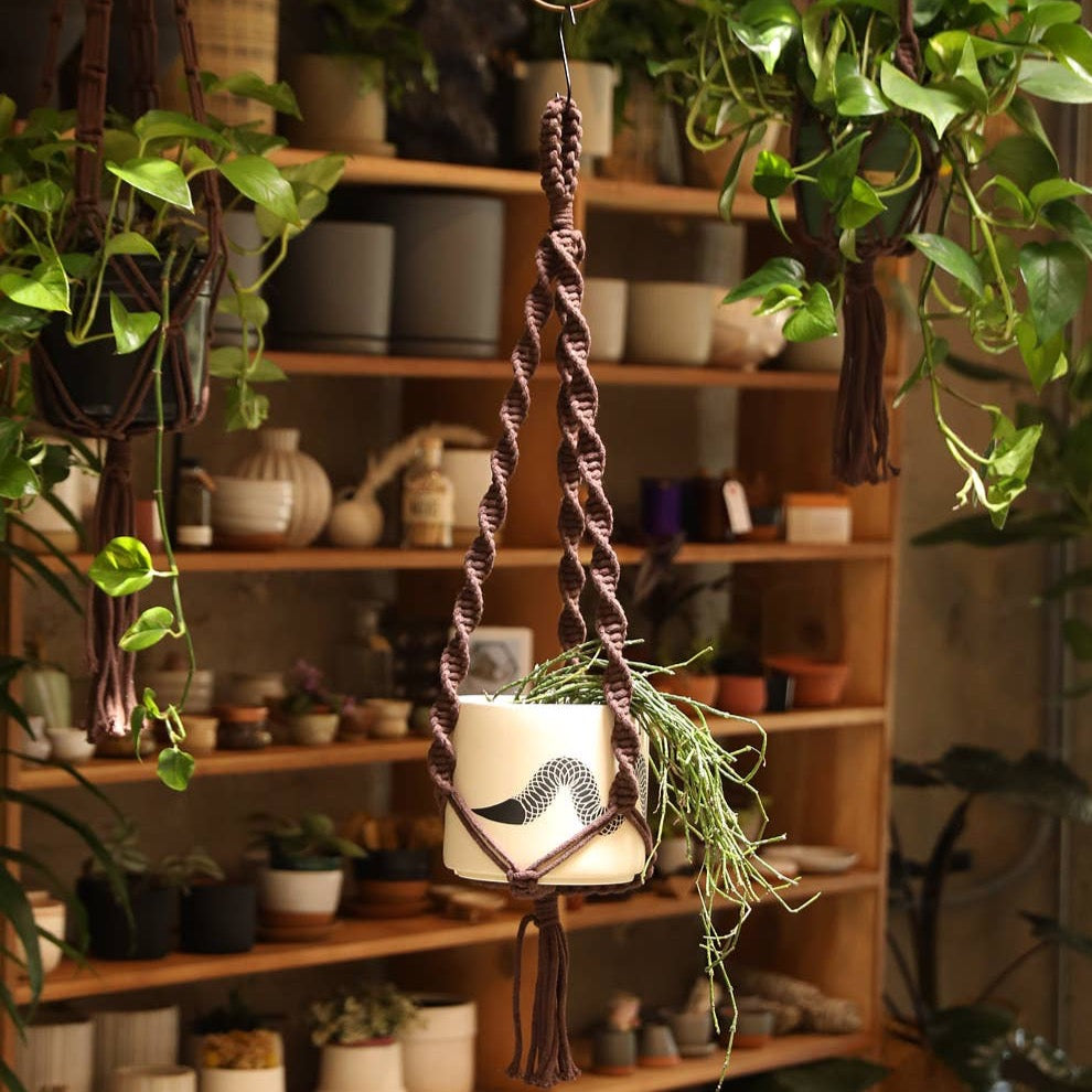 macrame shelf plant hanger Double Helix Macrame Plant Hanger – Paraíso Plant Studio