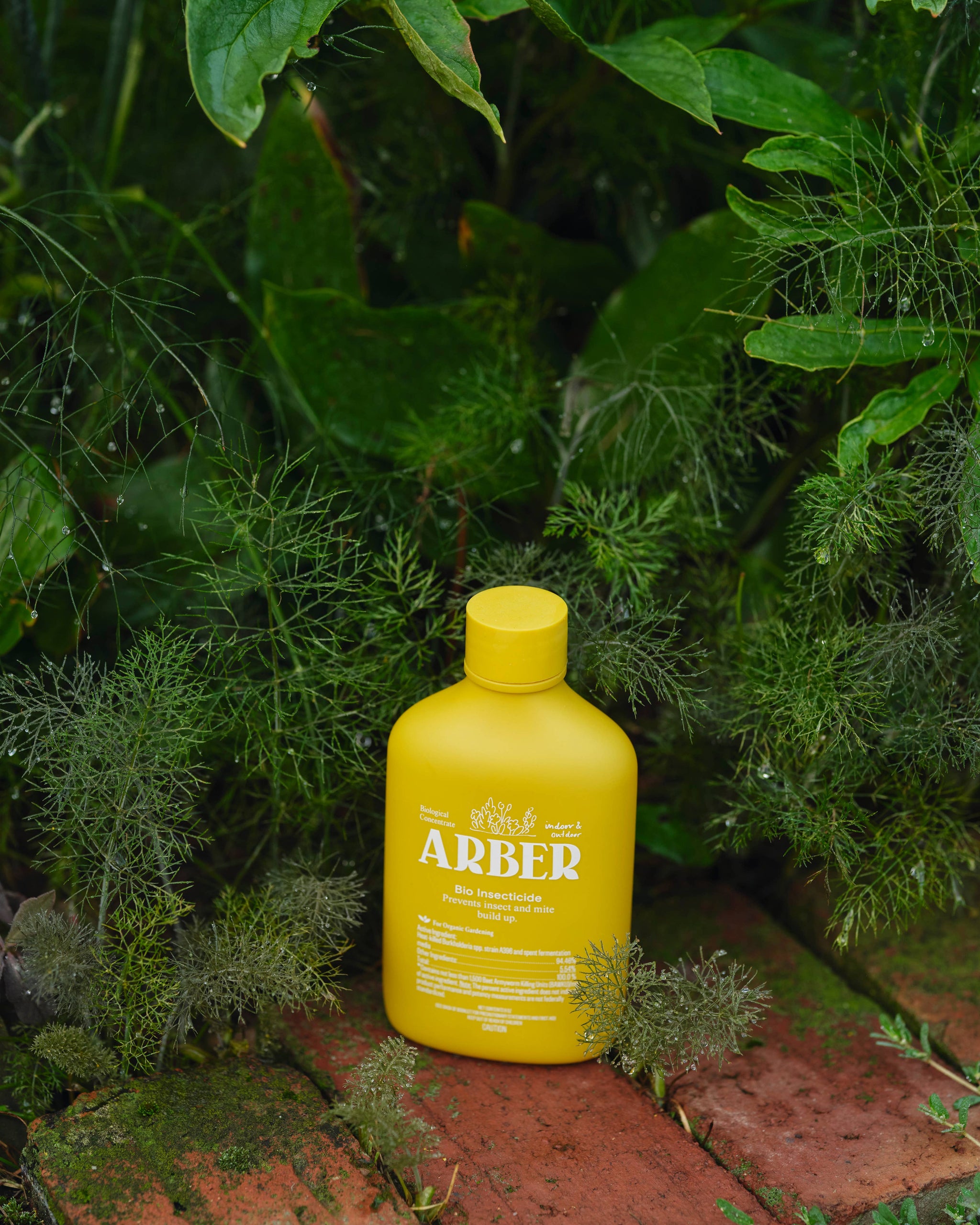 organic insecticide for indoor plants Organic Arber Bio Insecticide 8oz – Paraíso Plant Studio