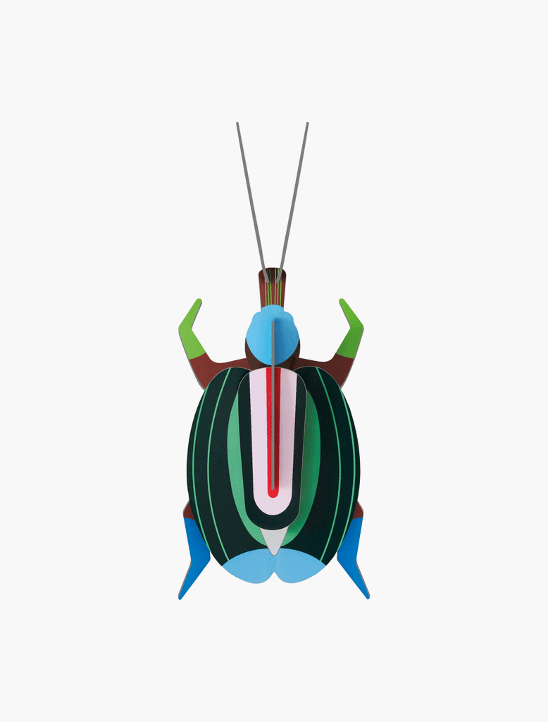 Green Fig Beetle