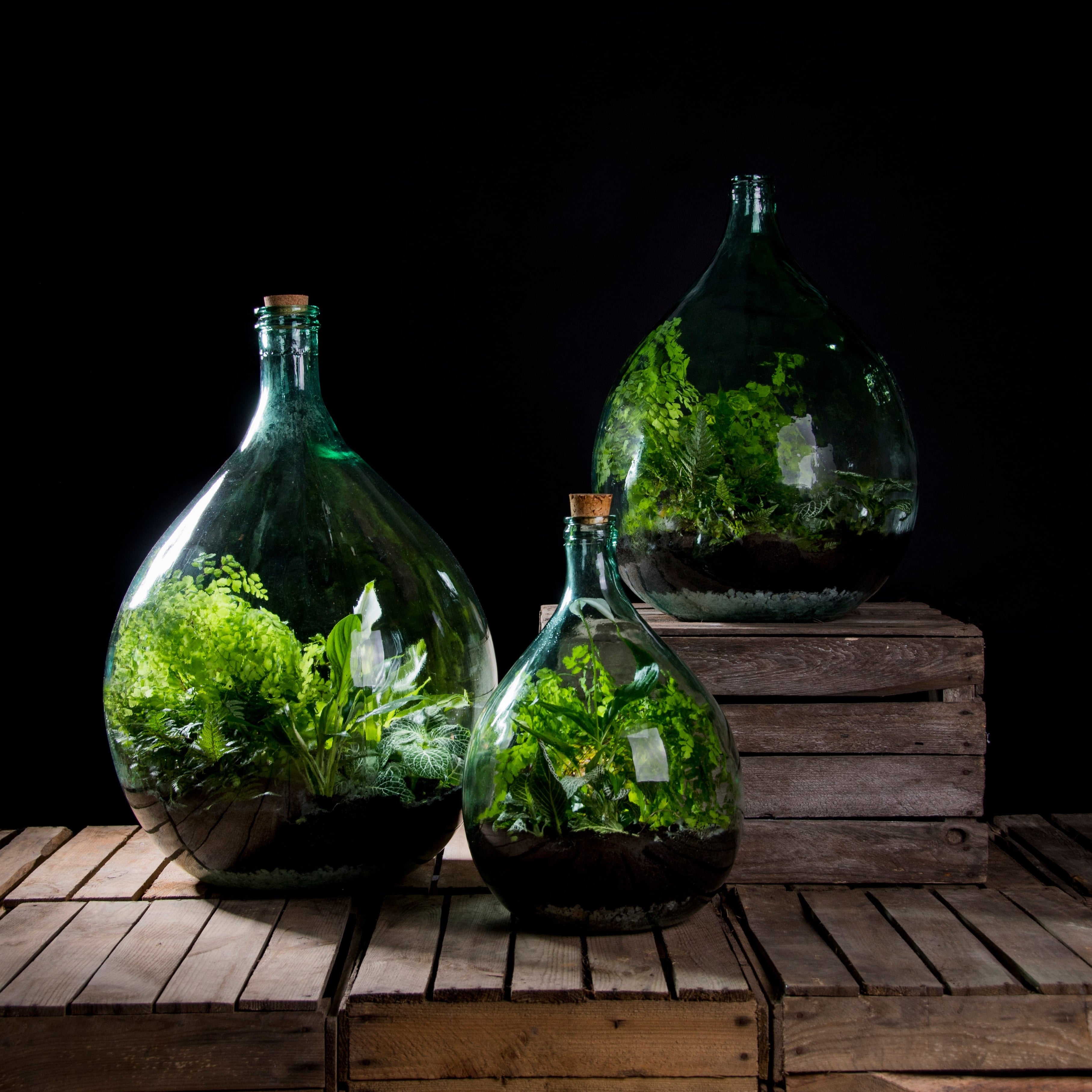 Terrarium Bottle w/Tools, Glass, Green - Large - Esschert Design USA