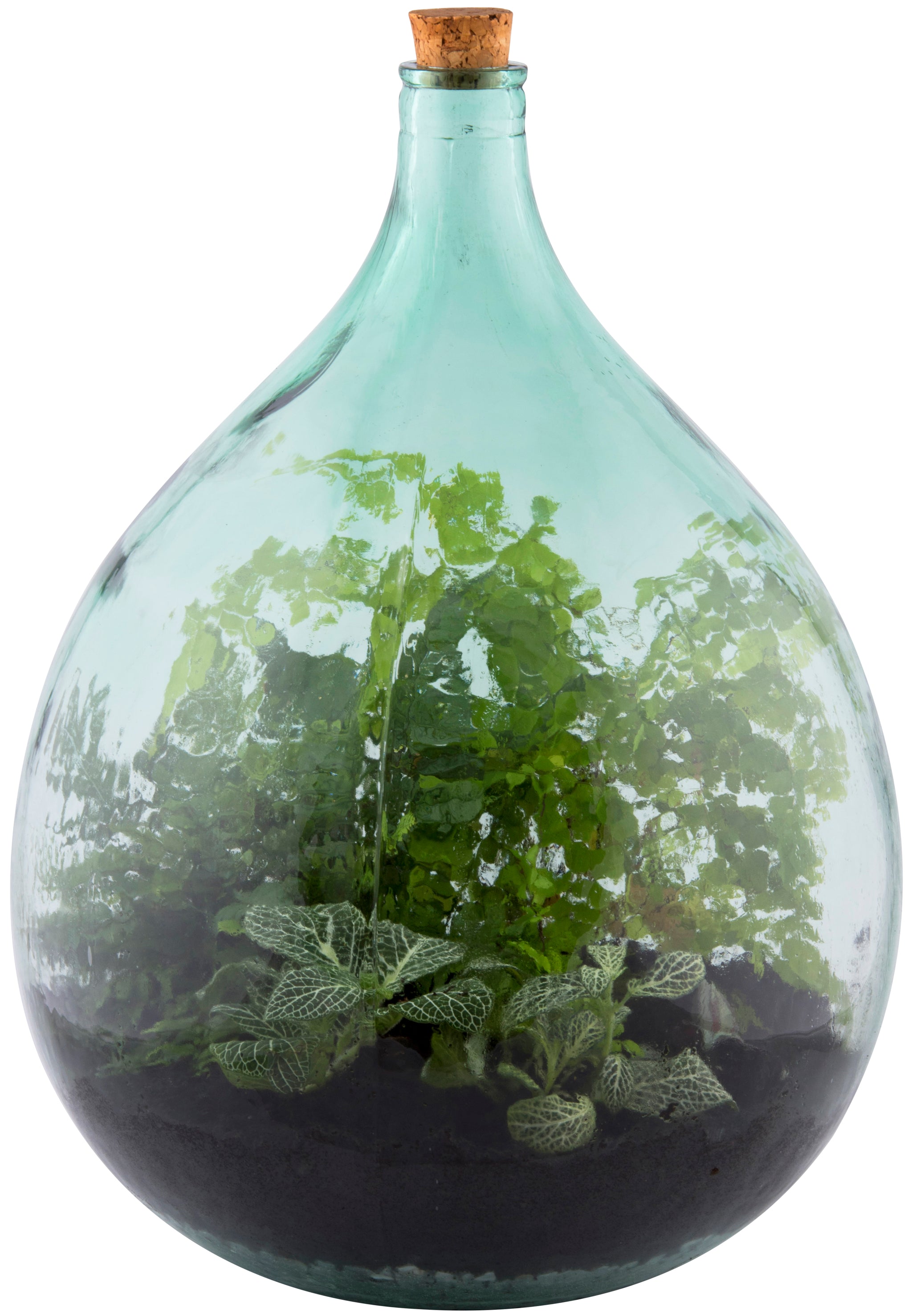 bottle terrarium plants Terrarium Bottle w/Tools – Paraíso Plant Studio