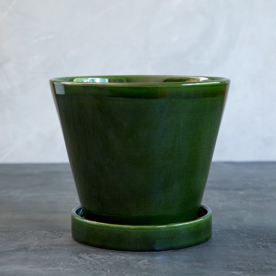 4in-7in Emerald Glazed Julie Pot - Bergs Potter