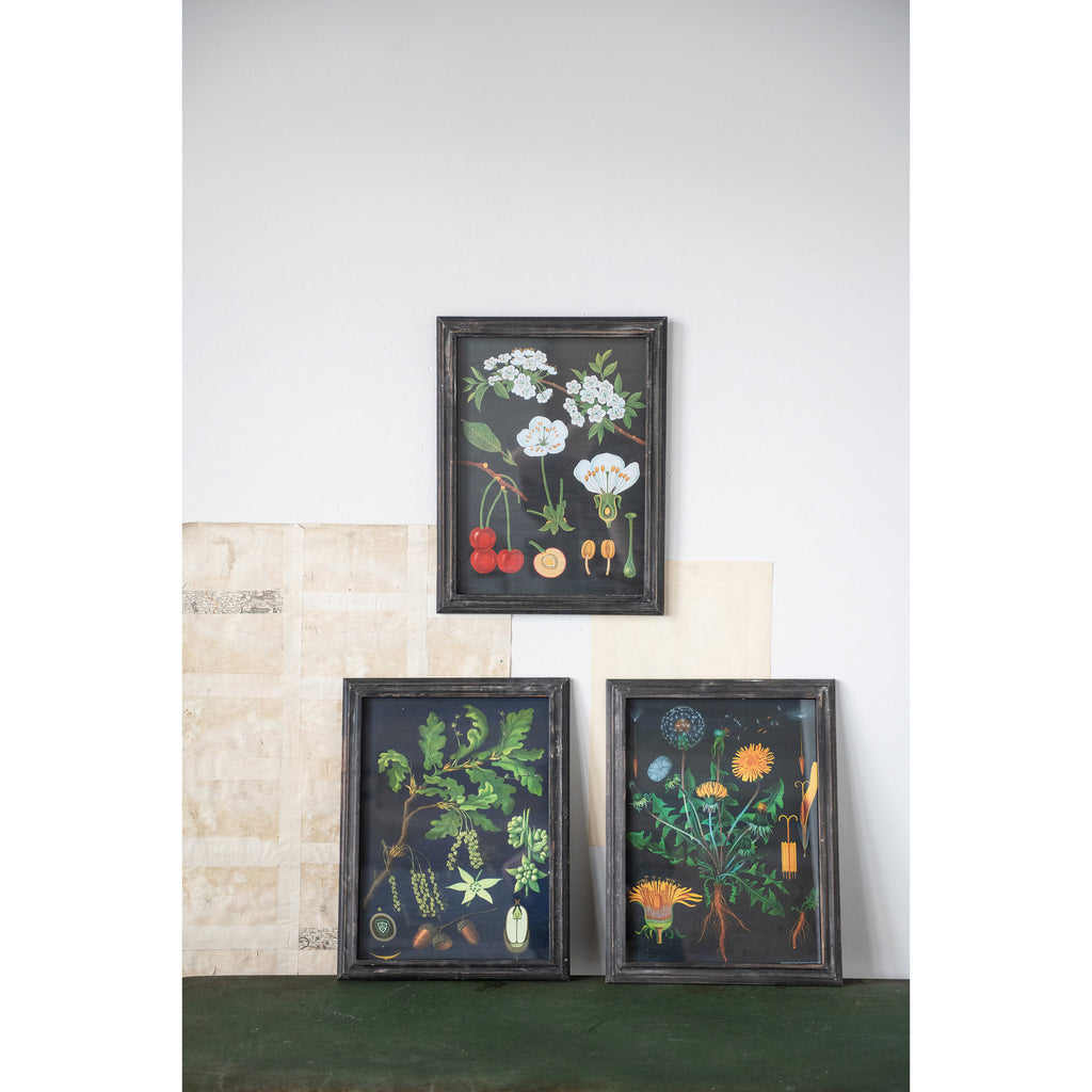 Framed Wall Decor - Plants