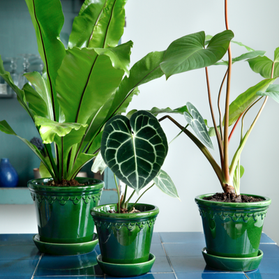 3in-10in Green Emerald Glazed Castle Pot - Bergs Potter