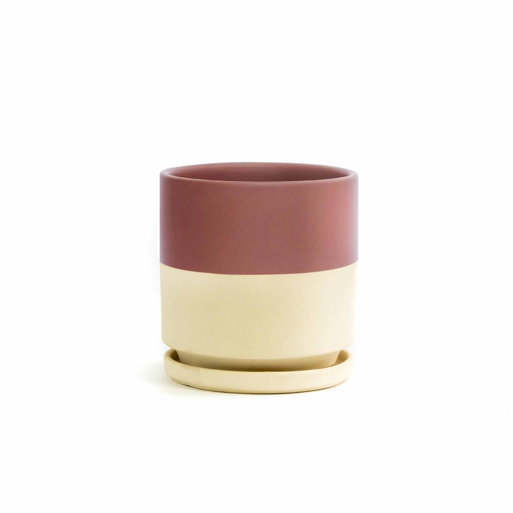 4.5in Gemstone Cylinder Pot With Saucer - Multiple Color Options