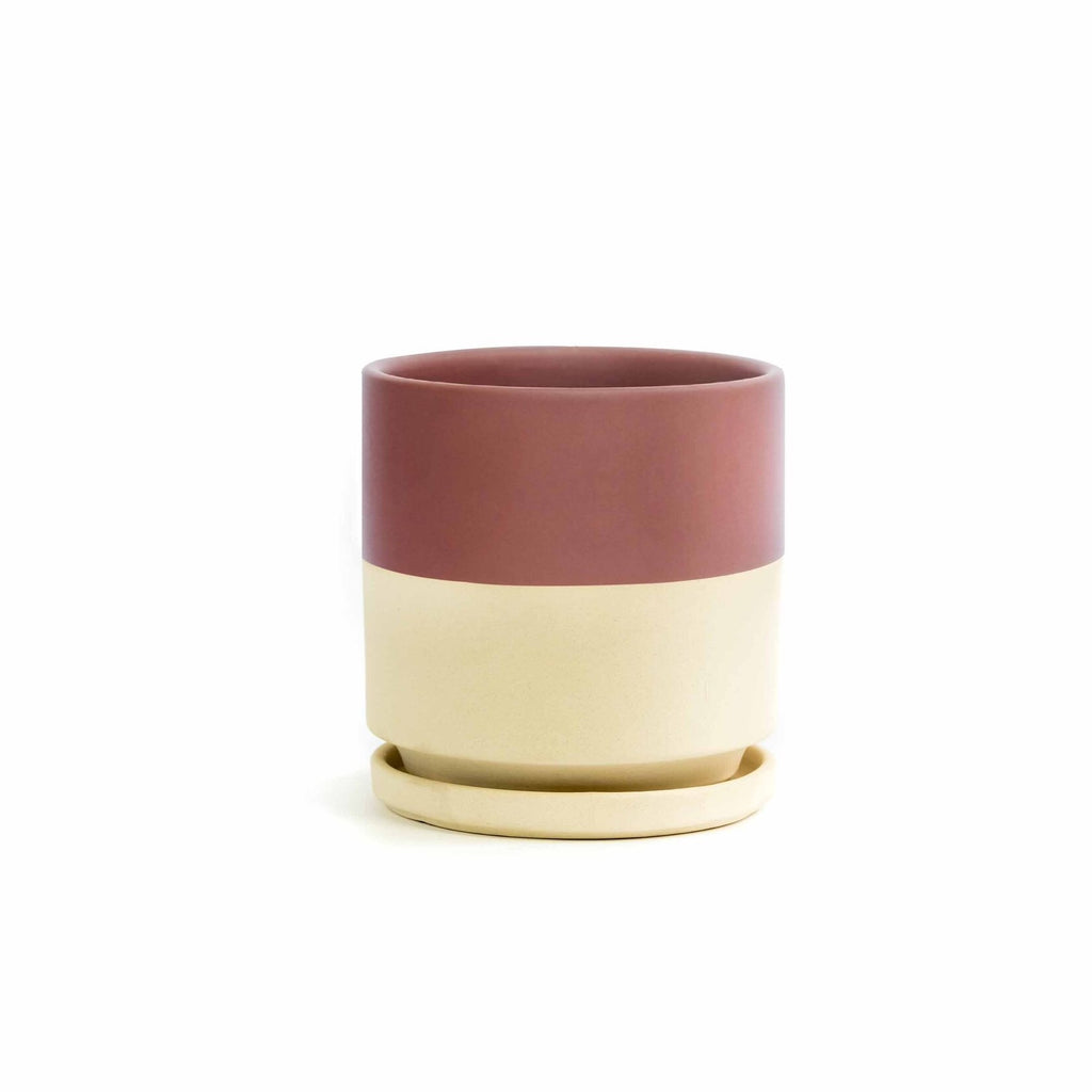 8in Gemstone Cylinder Pot With Saucer - Multiple Color Options