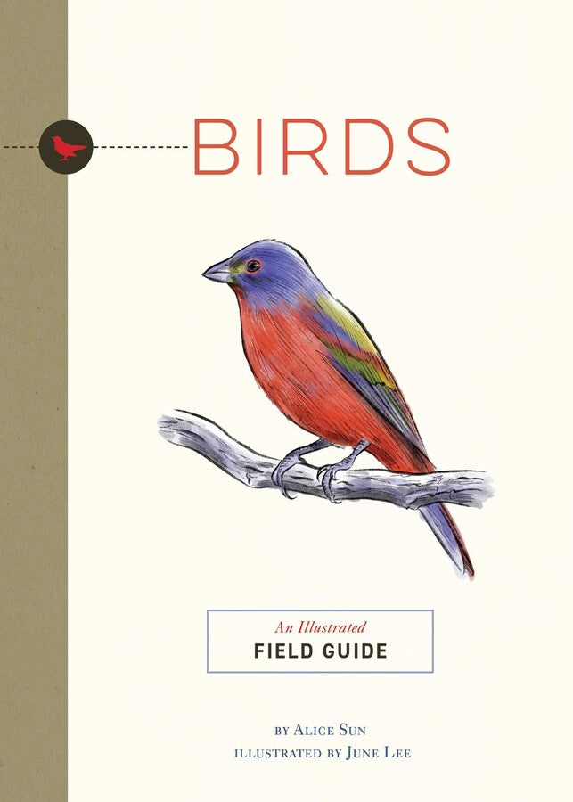 Book - Birds: An Illustrated Field Guide by Alice Sun